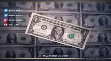 استقرار سعر الدولار عند 52 جنيها في البنوك وسط هدوء حركة السوق